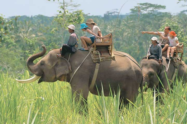 BEST ELEPHANT RIDE & PARK BALI | BaliHonestDriver.Com