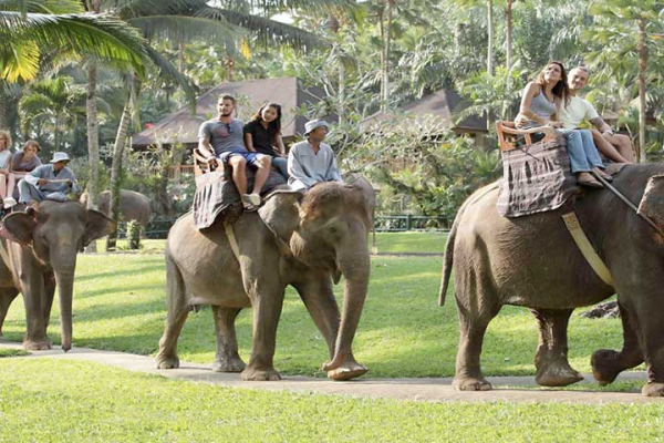 Elephant Ride & Ubud Tour | Bali Combination Tour | Recommended