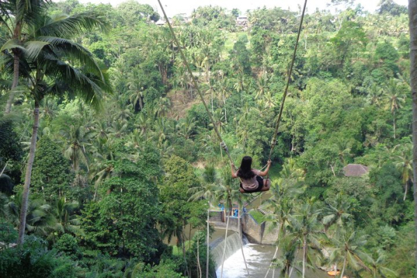 Bali Jungle Swing & Ubud Tour | BaliHonestDriver.Com