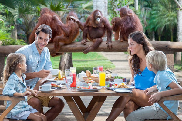ZOO PARK BALI | BaliHonestDriver.com | CAR HIRE IN BALI