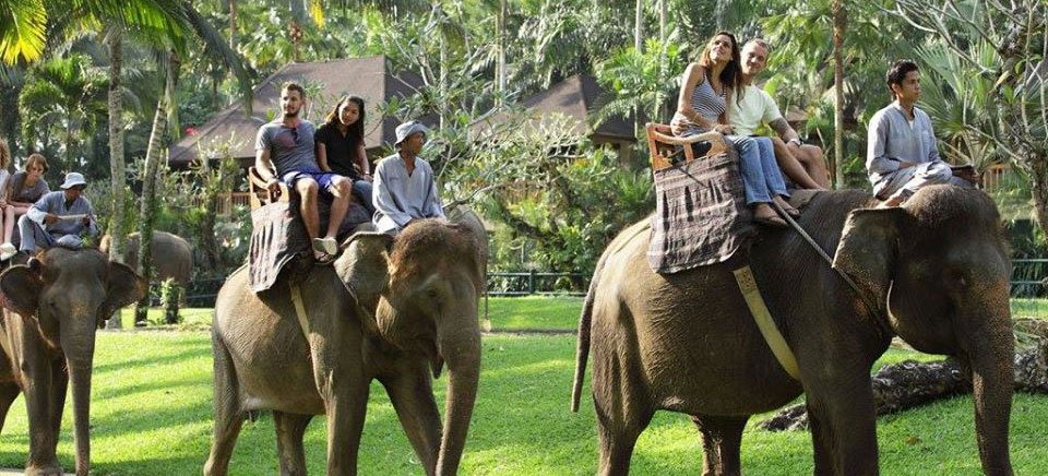 BEST ELEPHANT RIDE & PARK BALI | BaliHonestDriver.Com