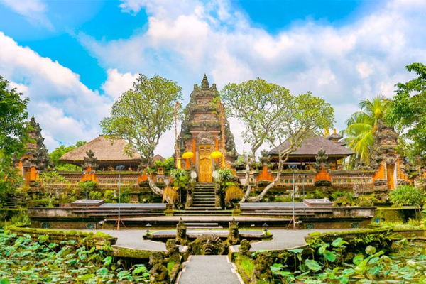 Ubud Village Afternoon Tour | Bali Half Day Tour | balihonestdriver.com